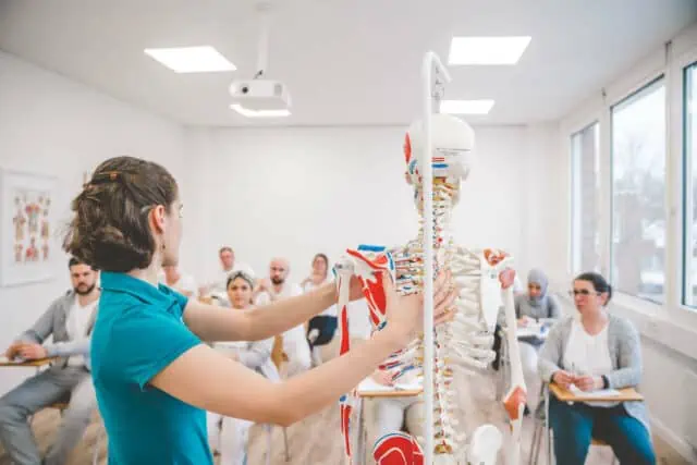 Dozentin erklärt einer Gruppe die Muskulatur am anatomischen Modell